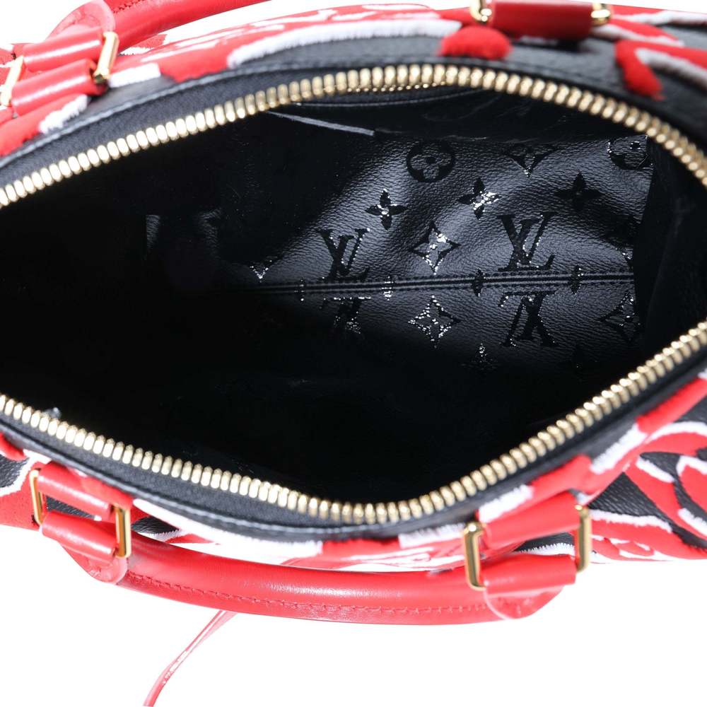 Louis Vuitton x Urs Fischer Limited Black & Red Tufted Monogram Canvas Speedy 25 - Picture 6 of 7